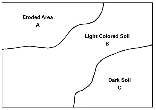 Figure 1. Within each field, collect a separate sample from each